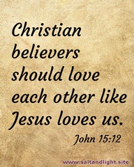 Christian believers should love each other like Jesus loves us. John 15:12